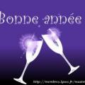 Bonne Anne 2010