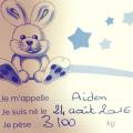 Carnet Rose : Naissance de Aiden